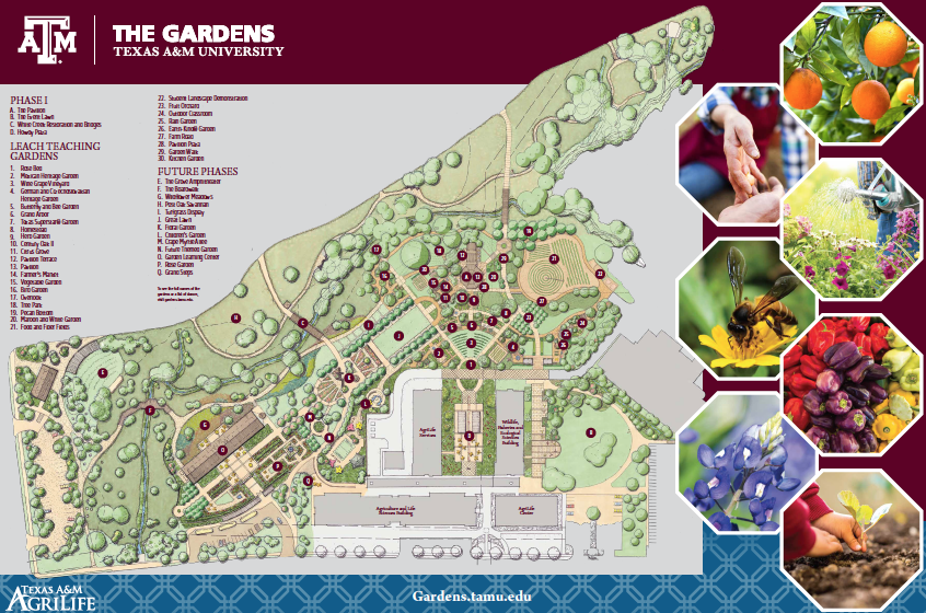Gardens The Gardens at Texas A&M University