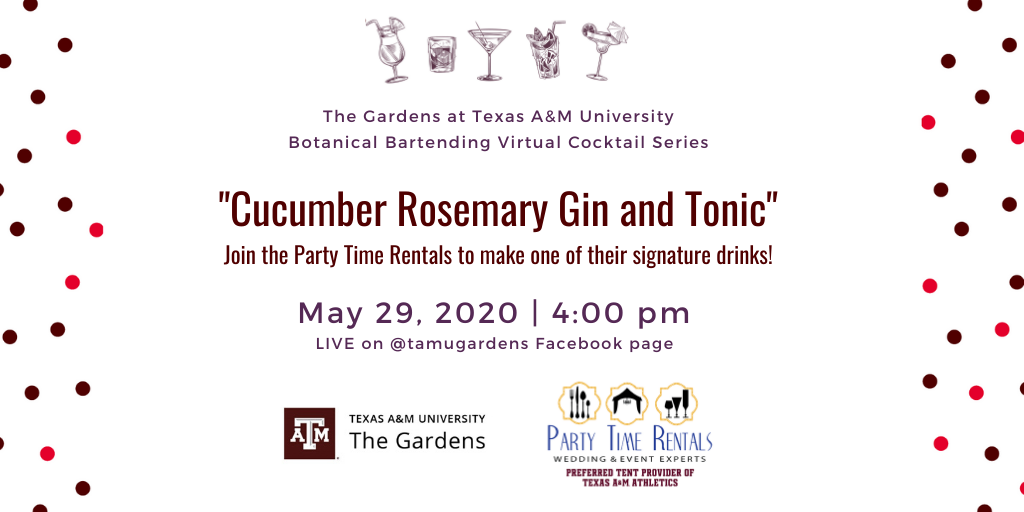 Advertisement for The Gardens at Texas A&M University Botanical Bartending Virtual Cocktail Series. Signature drink highlighted: "Cucumber Rosemary Gin and Tonic". Ad includes: "Join the Party Time Rentals to make one of their signature drinks!" Event will be on May 29, 2020 at 4:00 pm Live on @tamugardens Facebook Page.