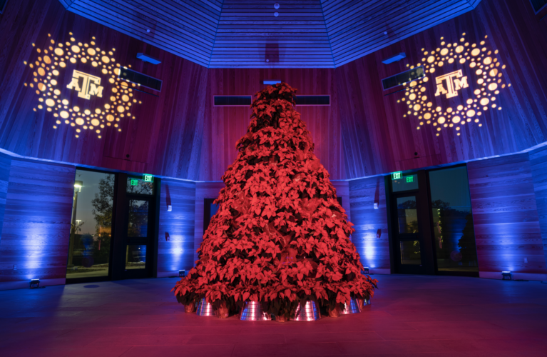 A tall poinsettia tree with two large light wreaths circling the Texas A&M logo