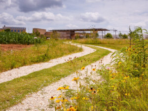 Drive-able pathway through The Gardens passing flowers and plants.